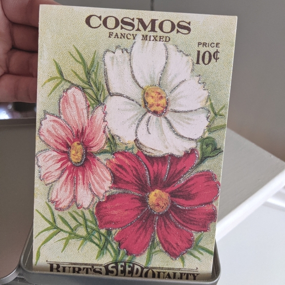 Floral Postcard Set - Cavallini and Co. - Picture 7 of 9